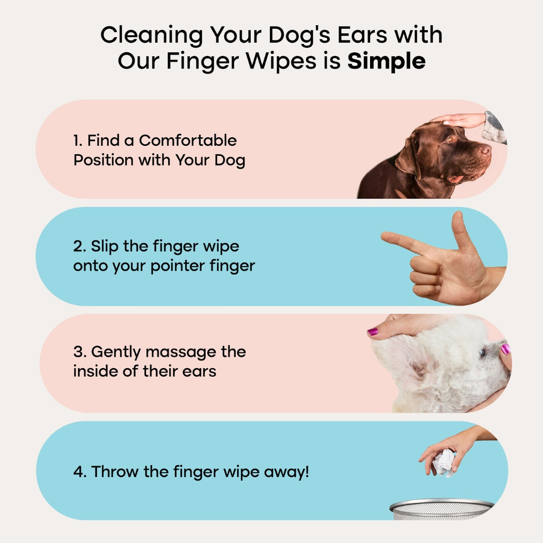 Uproot™ Ear Wipes - Image 6